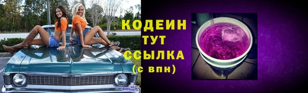 крисы Аркадак