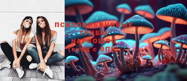 таблы Армянск