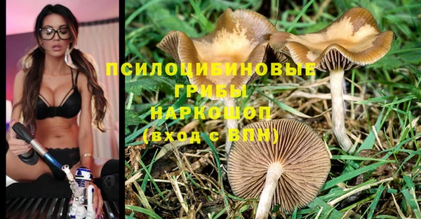 крисы Аркадак