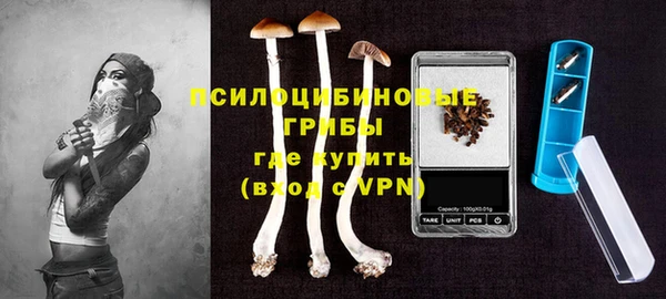крисы Аркадак