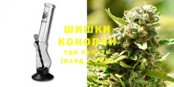 крисы Аркадак