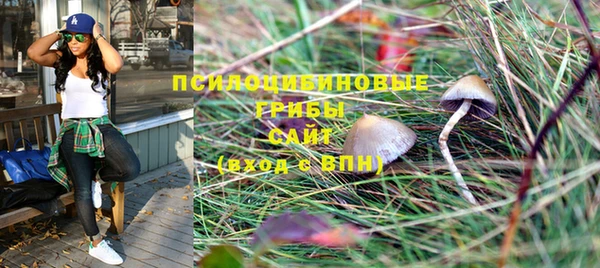 тгк Саяногорск