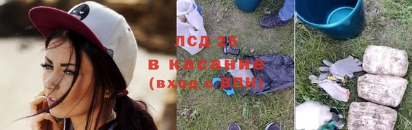 крисы Аркадак