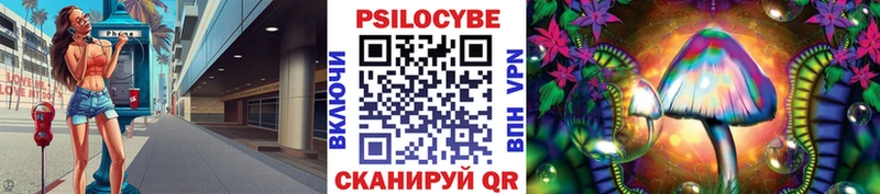 Псилоцибиновые грибы Psilocybine cubensis  Нея 