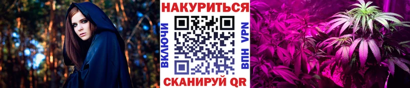 Бошки марихуана Bruce Banner  Нея 